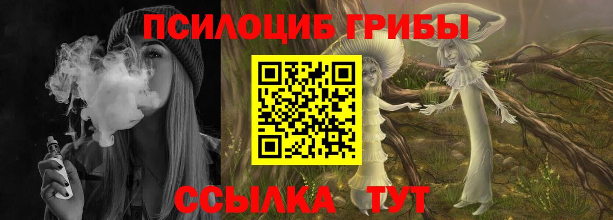 Псилоцибиновые грибы MAGIC MUSHROOMS  Псилоцибиновые грибы Magic Shrooms  Изобильный  Вход с VPN 